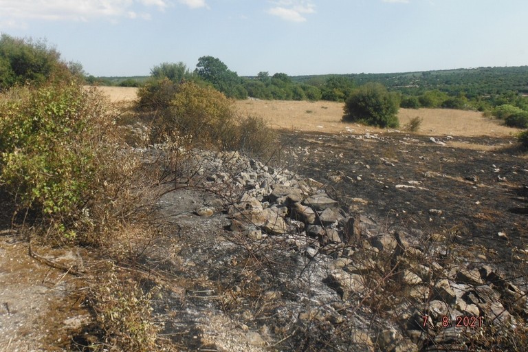 Incendi a Cassano delle Murge