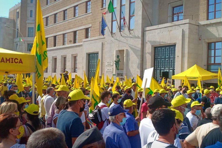 Emergenza cinghiali, agricoltori scendono in piazza