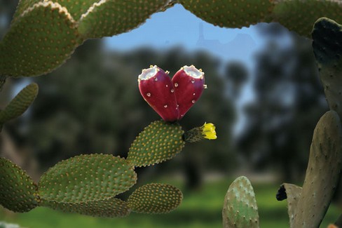 Puglia