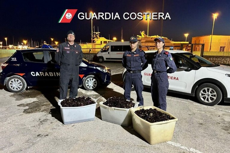 Ricci di mare sequestrati a Manfredonia: multa di 4mila euro per due pescatori