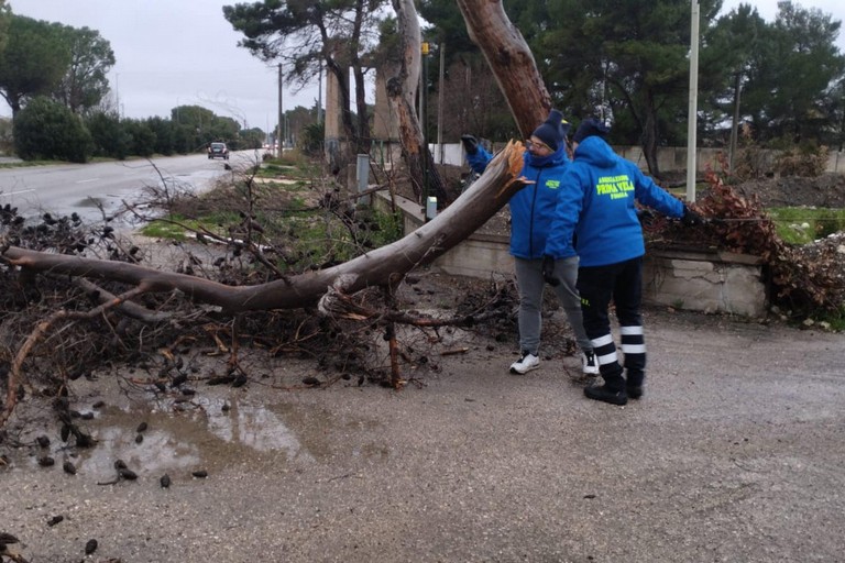 Protezione civile