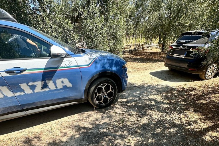 Polizia e Metronotte