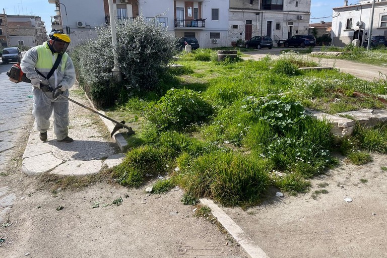 Cura del verde pubblico a Cerignola