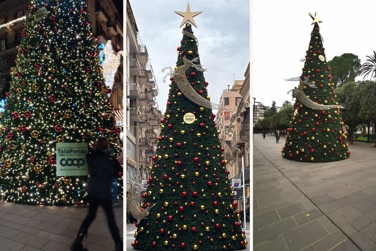 Luci e colori per il grande albero della Tatò Paride in via Sparano