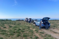 Cadavere sulla spiaggia di Barletta, veterinari ASL alla ricerca di un cane