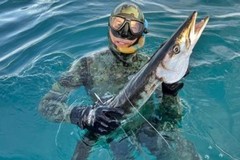 L'impresa di Antonio Porpora in Salento: pescato un barracuda di 8 kg