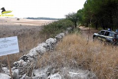 Sequestro su area protetta del Parco Nazionale dell’Alta Murgia: coinvolta società di Spinazzola