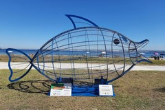 A Taranto arrivano i "pesci mangia-plastica" per tenere la spiaggia pulita
