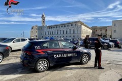 Parcheggiatori abusivi a Trani: sanzionati in tre
