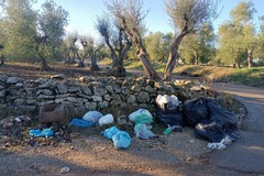 Aumenta l'abbandono dei rifiuti nell'agro di Terlizzi