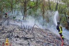 Grande caldo in provincia di Lecce: incendi distruggono ettari di vegatazione