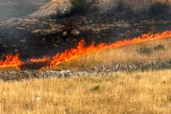 Fiamme sulla Murgia, paura ieri a Minervino