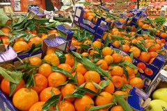 Abusivismo commerciale a Corato: l'esasperazione dei fruttivendoli legali