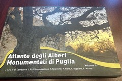 Presentato il secondo volume dell'Atlante degli alberi monumentali di Puglia