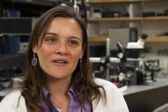 La Nasa premia la ricercatrice pugliese Antonia Gambacorta