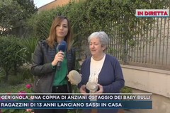 A “Mattino 5” su Mediaset la vicenda degli anziani bullizzati a Cerignola