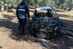 Ritrovati resti di un'auto cannibalizzata. L'intervento delle Guardie Ambietali di Ruvo