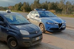 Furto di ortaggi nelle campagne di Bitonto, fermato un uomo