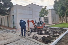 Cimitero di Andria sempre più green anche con le nuove alberature