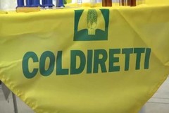Coldiretti, sarà presentato oggi il disciplinare della DOP Pomodoro di Puglia