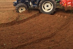 Un'azienda agricola di Palo del Colle razziata. Scatta la solidarietà