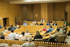 Molfetta, oggi il voto di sfiducia al Sindaco. Tra aula e piazza la città si divide