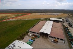 Una discarica ha preso fuoco nei pressi di Cerignola