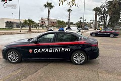 Beccati mentre smontavano auto rubate nelle campagne di Trinitapoli