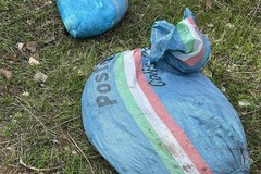 Sventato un furto di olive a Terlizzi, ladri fermati dalla Metronotte