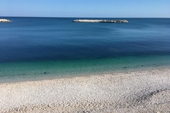 Alga tossica, cala l’allarme sul litorale: migliorano Bisceglie e Molfetta