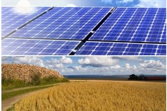 La Corte Costituzionale ferma l'installazione degli impianti fotovoltaici sul suolo agricolo