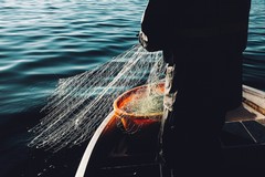Fino al 29 settembre fermo pesca in Adriatico da Manfredonia a Bari. Coldiretti: "Occhio all'etichetta"