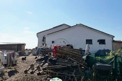 Cerignola, la tendopoli arriva su Rete 4. Il Sindaco: «Sarà il problema del mio successore»