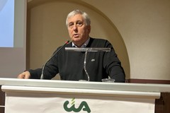 CIA Puglia: «Agricoltura in crisi, costi di produzione alle stelle per la guerra»