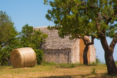 Fotogrammi della Puglia rurale, al via la seconda edizione