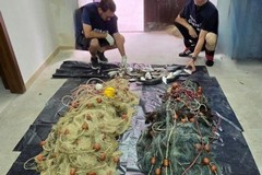 Attività di pesca illegale: a Bisceglie sanzione di 2.000 euro e ritiro di 10kg di prodotto ittico