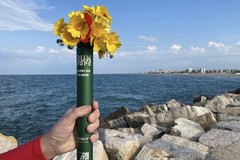 Tra sport e solidarietà: la Master on the Road di San Ferdinando partecipa alla “Run4Hope”