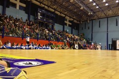 La Final Four di Coppa Italia regionale si giocherà a Molfetta