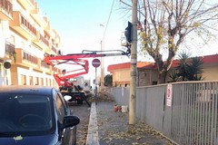 Una ordinanza per potature, rimozione e taglio alberature e vegetazione pericolose a Giovinazzo