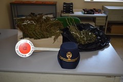Trovato in possesso di oltre 3 kg di marijuana, arrestato 37enne di Trani