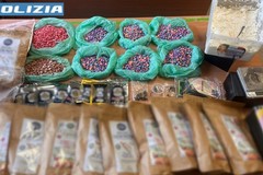 Ecstasy, ketamina e anfetamina: maxi sequestro di droga a Giovinazzo