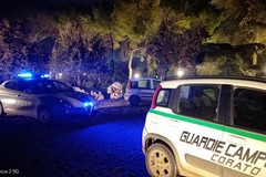 Furto sventato in una villa a Corato
