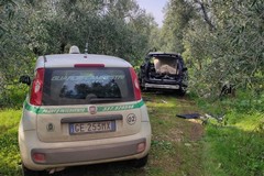 Ritrovate due auto rubate e cannibalizzate nell'agro di Corato