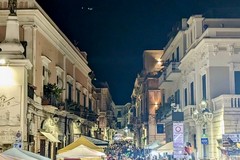 Minervino Murge verso la 30ª sagra del fungo cardoncello