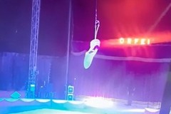 Trapezista cade durante un’esibizione, paura al circo a Terlizzi
