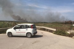 Un altro incendio a Barletta: prendono fuoco delle sterpaglie