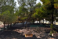 Ancora un atto vandalico al Santuario Madonna di Ripalta a Cerignola: incendiata la pineta