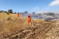 Incendi, in Puglia quasi 3 mila ettari in fumo: preoccupano i rifiuti abbandonati