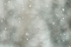 Meteo, temperature in discesa: arriva la neve in Salento