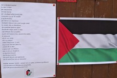 «Aggrediti da turisti israeliani per aver esposto la bandiera palestinese», la denuncia di una libreria a Barletta